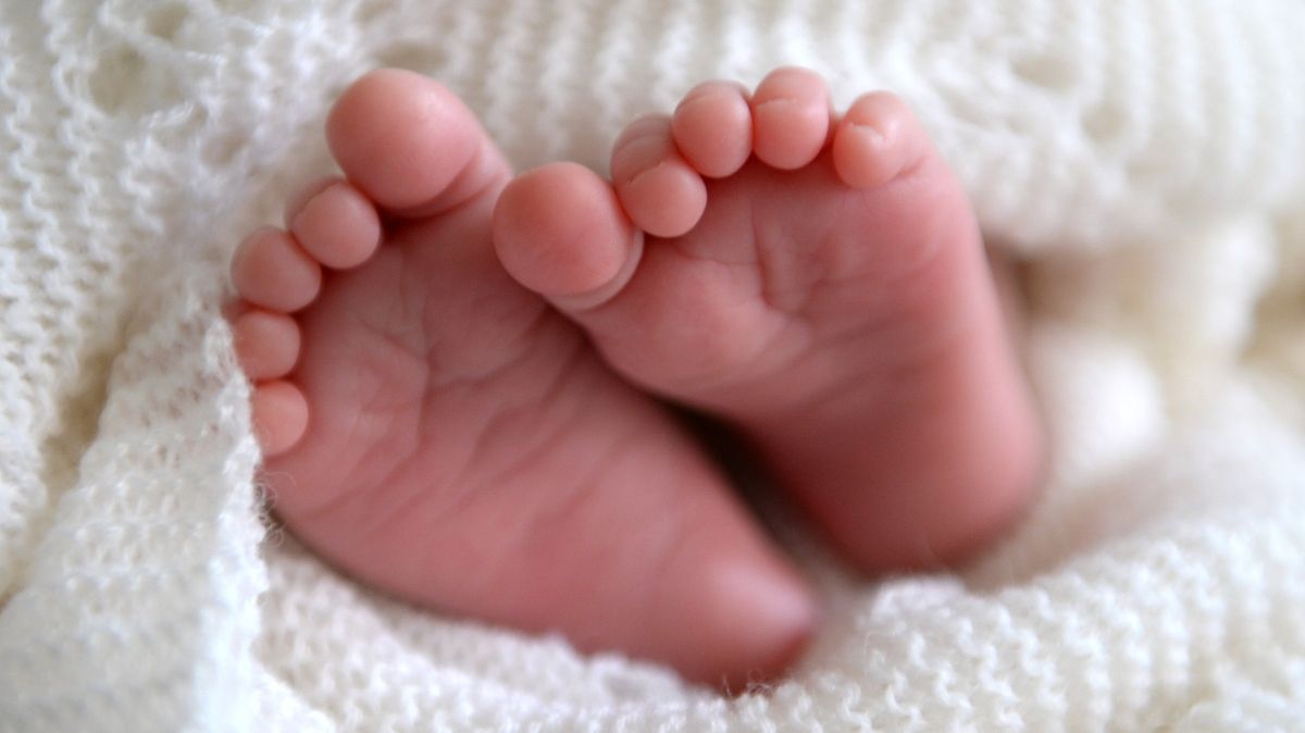Nizozemský soud zakázal darovat sperma muži, který zplodil přes 500 dětí